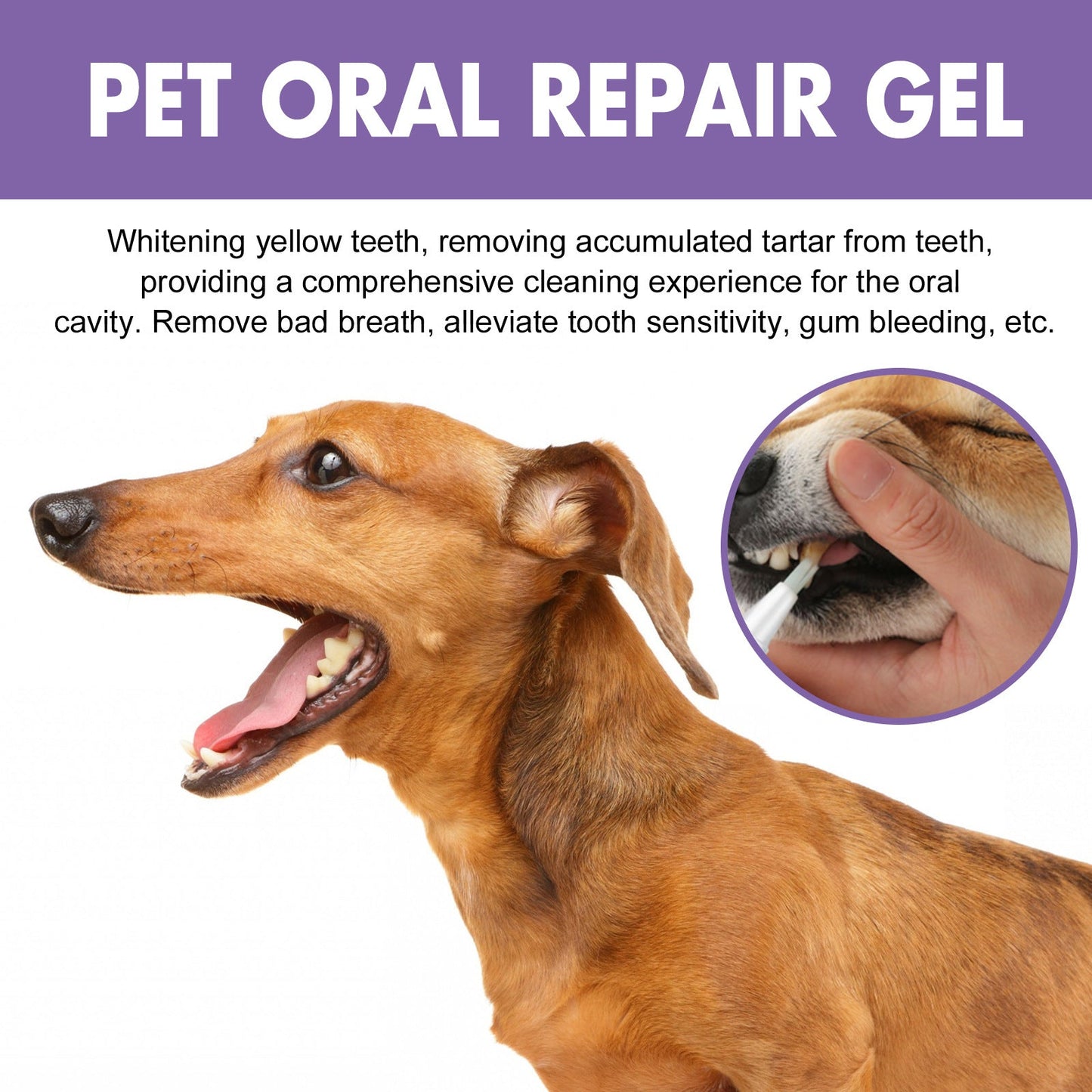 PurrfectSmile Gel