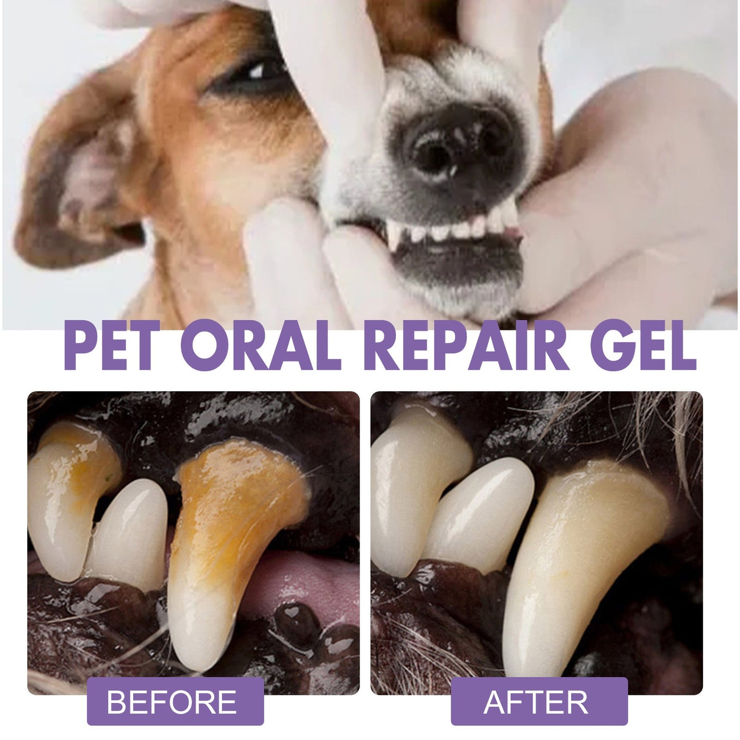 PurrfectSmile Gel