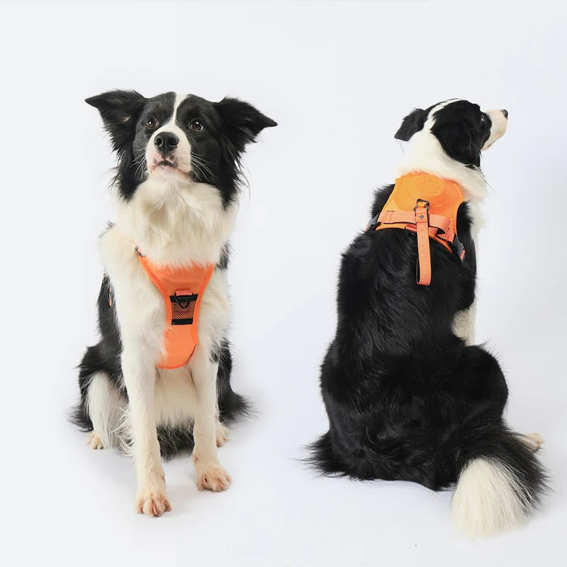 PowerPaws Vest