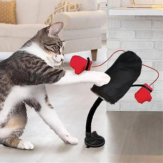 Kitty Box Champs