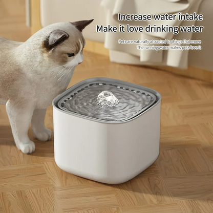 HydraPaws Dispenser