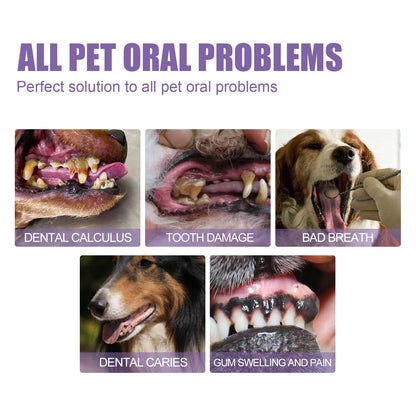 PurrfectSmile Gel